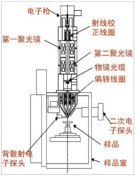 扫描电镜和透射电镜的区别