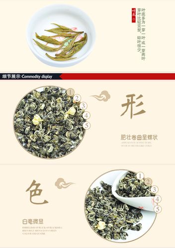 景屹茉莉花茶散装茶叶雪花螺香碧螺250g2袋共500g