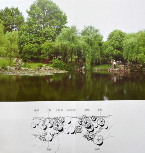 园林植物配置案例