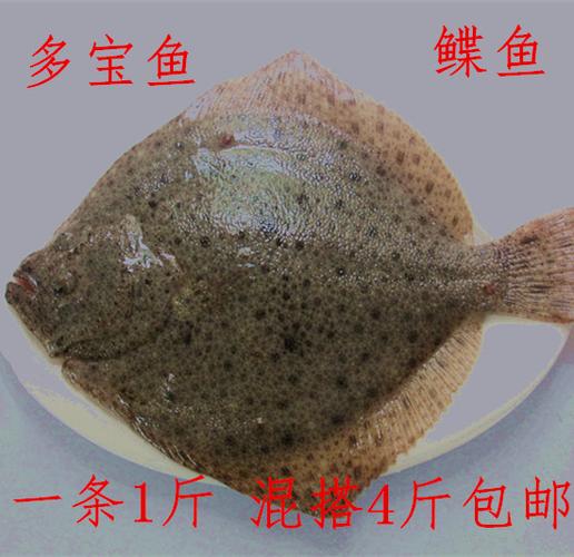 野生新鲜多宝鱼鲽鱼高眼鱼一条一斤全店4斤包邮可混搭