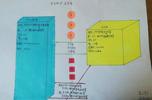 思维导图/人教版五下/长方体和正方体