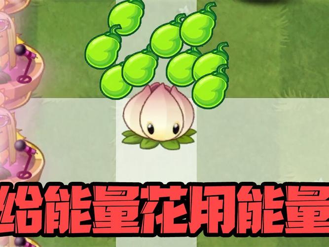 植物大战僵尸:给能量花用能量豆,会发生什么?_游戏_主机游戏_单机游戏
