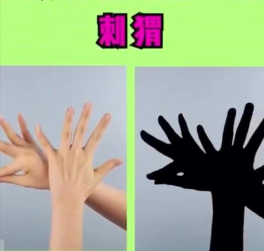 只要有灯光,就可以通过手势的变化,做出兔子,狗,猫等的影子,简单又