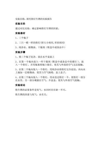 探究铁钉生锈的实验报告.doc 1页
