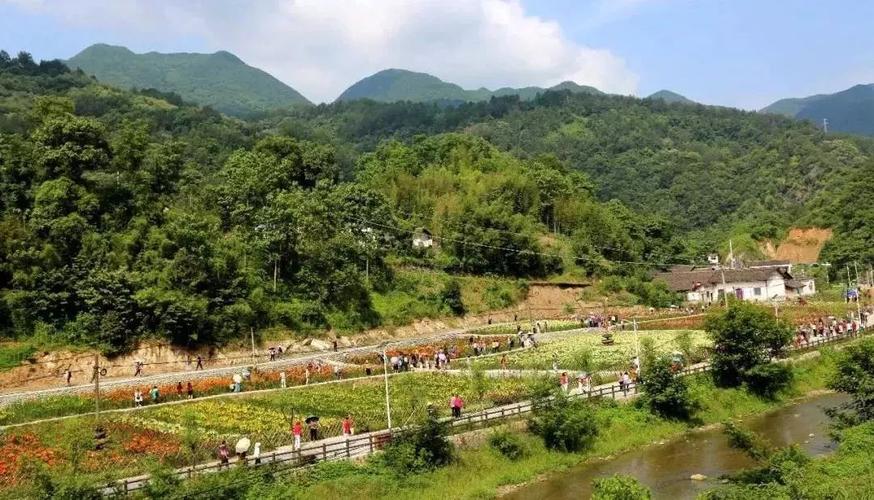  p>胜利村是山东省菏泽市巨野县柳林镇下辖的行政村,城乡分类代码为