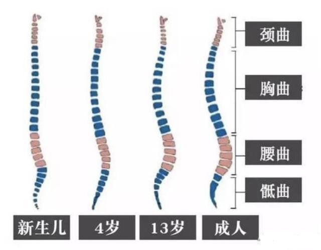 育儿专家:不要叫你的宝宝坐得太早,对脊柱发育有影响!