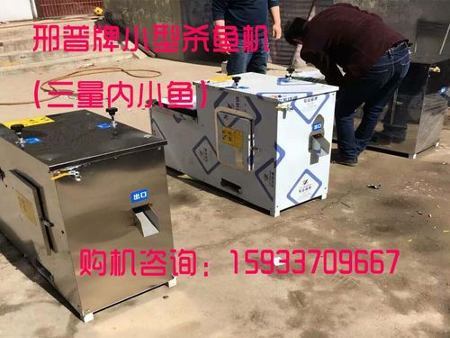 杀鱼机小型的