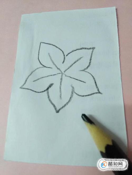 简笔画紫荆花的画法优质