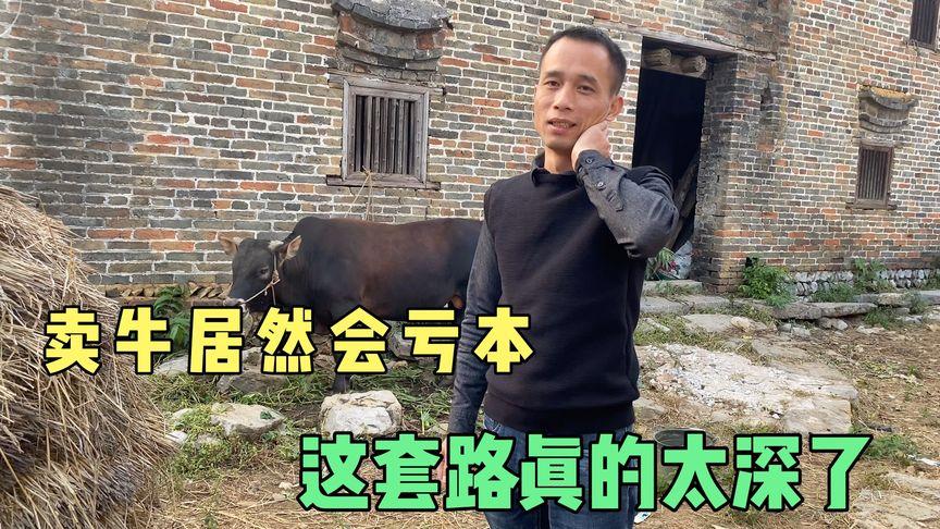 桂北小辉哥