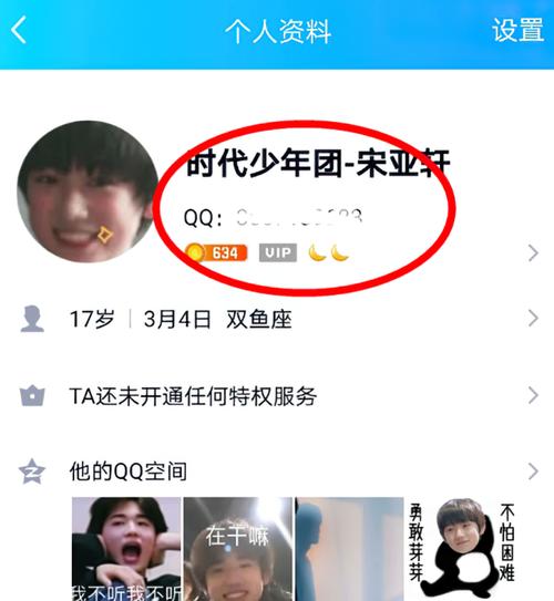 宋亚轩晒qq号,粉丝截屏搜索到账号主页,太像高仿号了