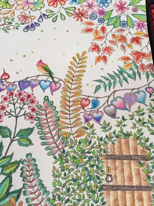 【普·艺文中心】11月1日简笔画:《秘密花园》报名开始啦