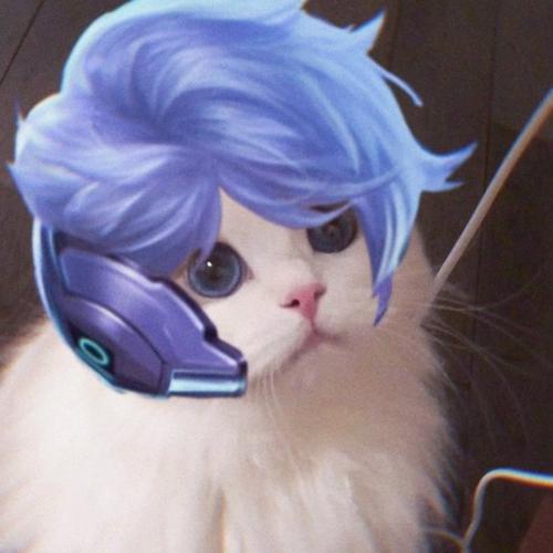 王者荣耀猫咪坦克接头头像大全