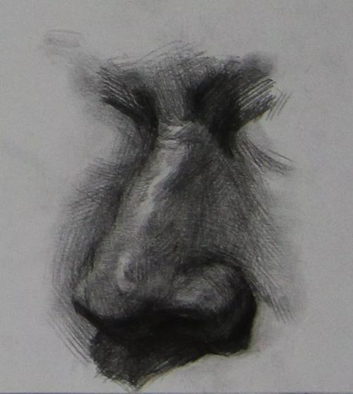 教程素描鼻子的画法