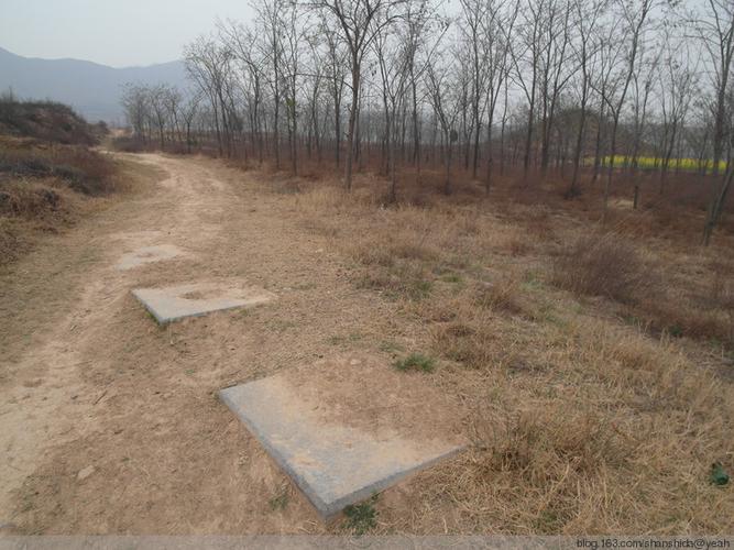 唐代帝陵唐德宗李适崇陵