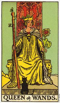tarot的日记queen of wands权杖皇后