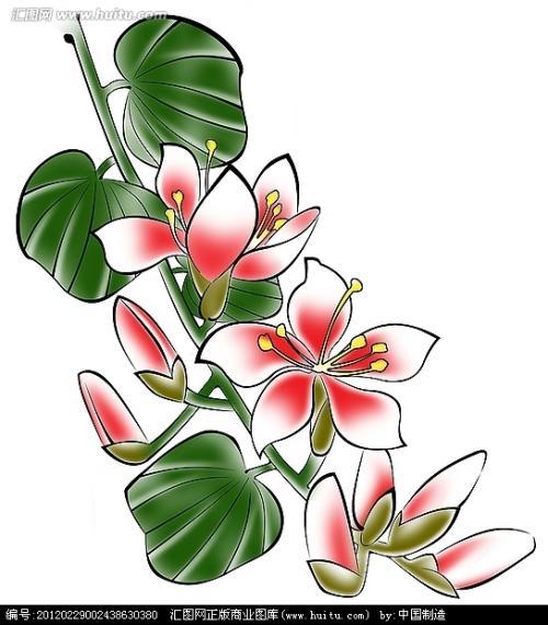 香港紫荆花图片简笔画12张简笔画大全千千花图片网