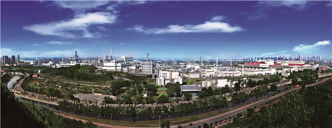 河钢集团有限公司