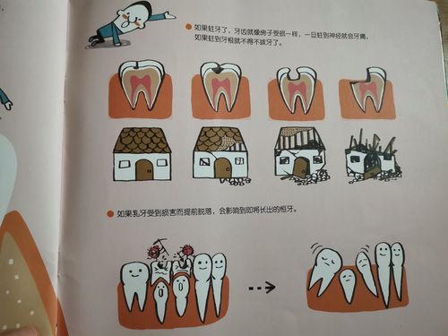 大二班《牙齿咔咔咔》主题活动总结