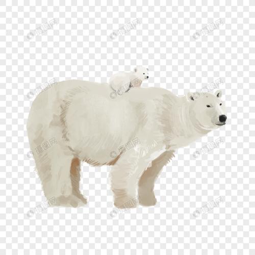 北极熊