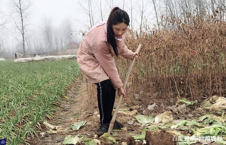 一位农村女孩在做农活.