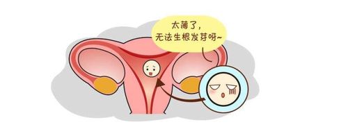 什么叫子宫内膜薄