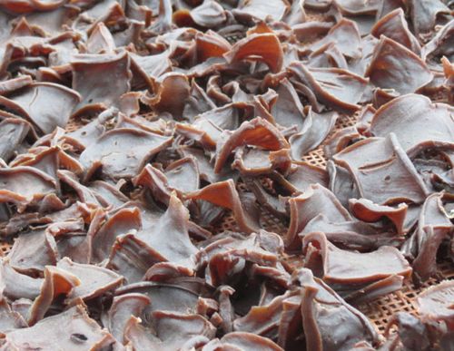 准备新鲜的苦槠豆腐干.