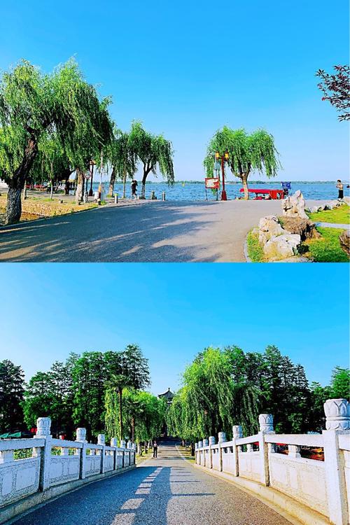 风和日丽阳光明媚sunwithface