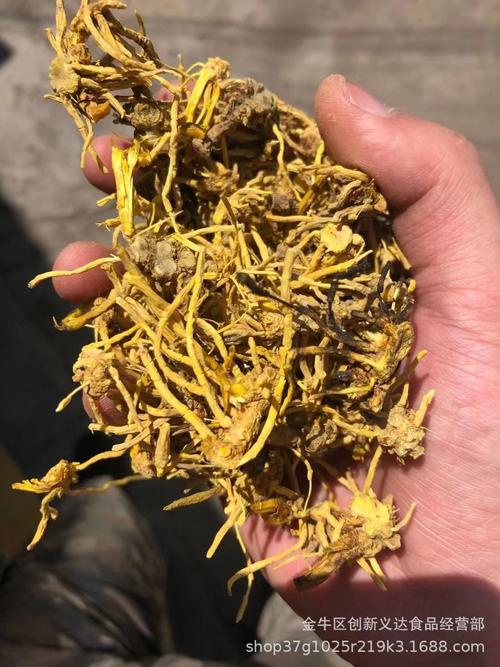 跑地摊产品雪山黄龙茶黄龙草麦冬老壳 黄龙草梗茶百花