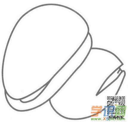 松子的画法步骤儿童画绘画教程