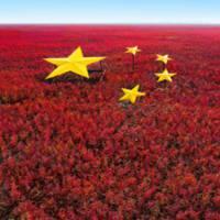 头像图片大红大紫_微信头像图片大全