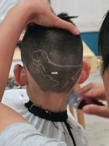 恐龙发型_恐龙_发型_理发_抵抗力_潮流_潮流发型