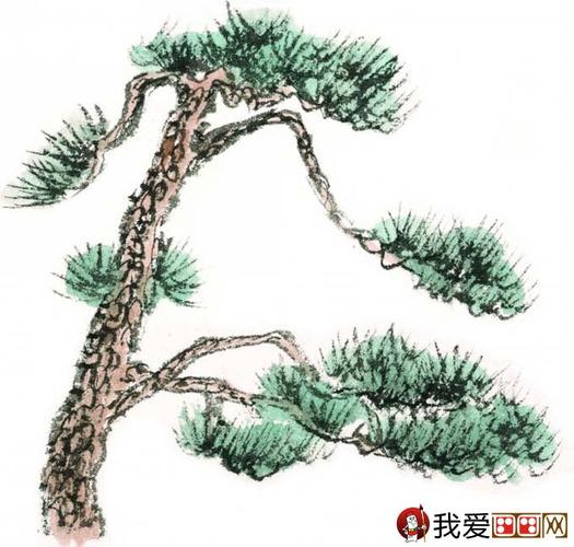 国画松树的画法:松柏松树水墨画图片大全69p之设色篇
