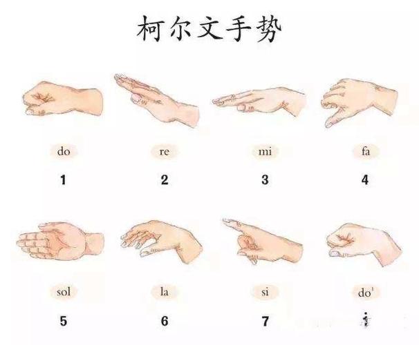 下坝小学音乐课——感知,认识音阶