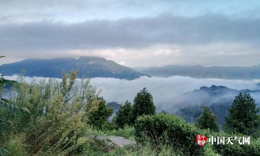 贺州:昭平大脑山清晨云雾缭绕 风景多娇 (1/6)