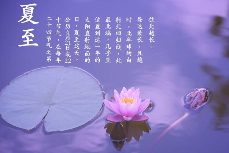 【经管校】"易"个节气-夏至