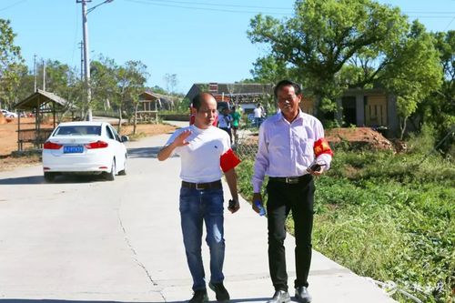 日前,干江镇党委副书记,镇长吕德胜带领村镇建设办,乡村振兴办等科室