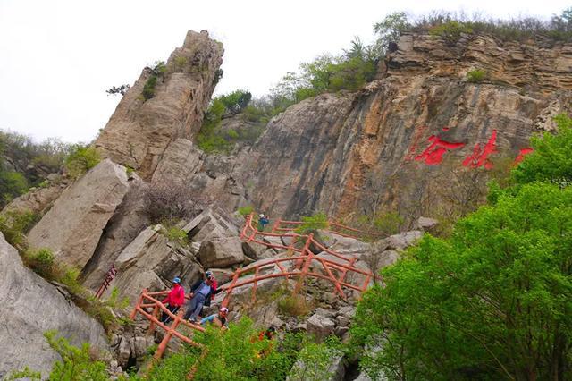 赏花,撒欢儿吧~来源:枣庄市抱犊崮熊耳山景区