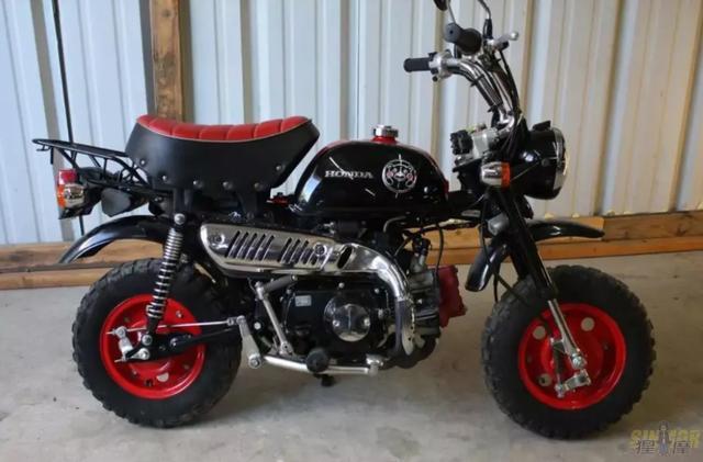 本田小猴子加传奇动漫《龙珠》融合进化,小猴子龙珠限量版诞生