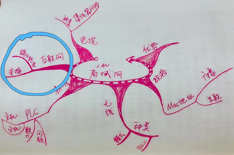 送你一张大脑说明书,让你看到自己的脑回路