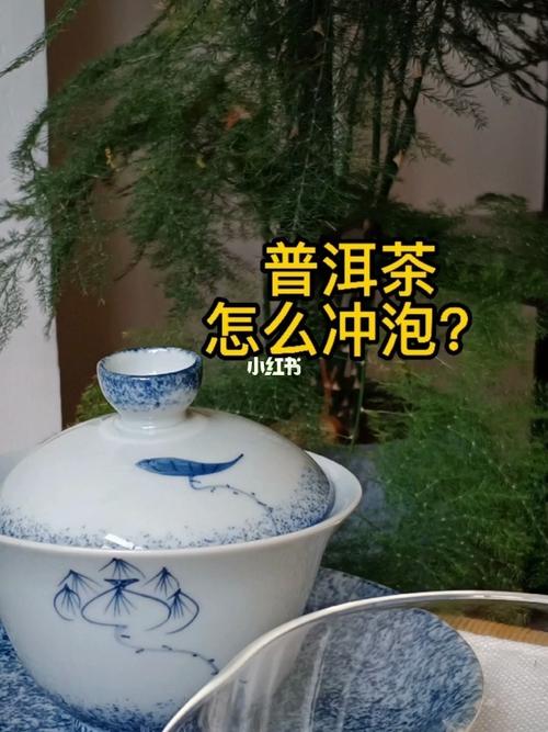 普洱茶冲泡方法 超详细步骤分享_普洱茶_泡茶_美食