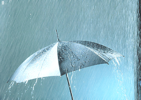 相册: 心廉法师的相册