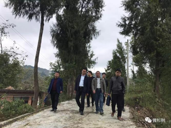 ▼杉树村 ▼群众自发捐款 ▼顾家村帮扶干部为帮扶户送上生活用品.