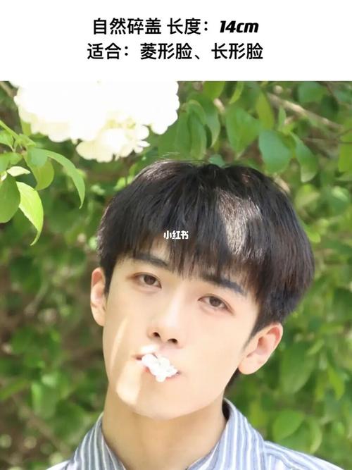 男士发型参考_发型_男士发型_碎盖_造型烫_设计_西宁