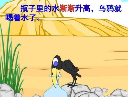 绘本故事《乌鸦喝水》