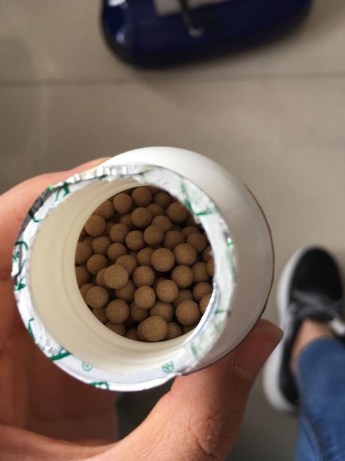 治遗尿病的褐色小药丸是什么