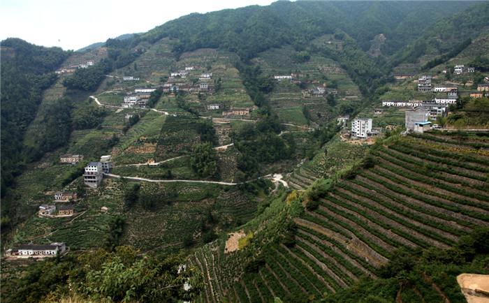 歙县璜田乡蜈蚣岭村:"博物馆"里记乡愁