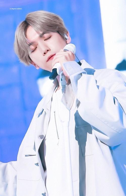 精选边伯贤壁纸:虎子的un village