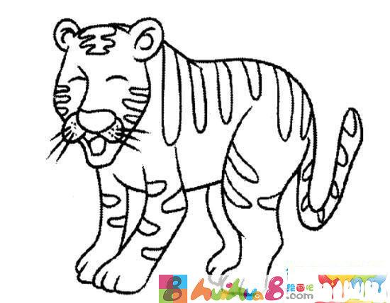 动物简笔画:老虎
