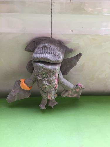 亚利盖拉
