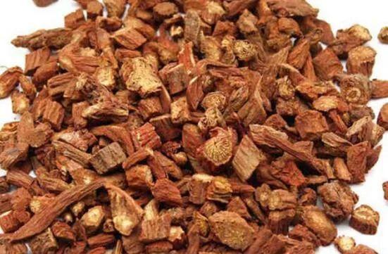 丹参的功效与作用丹参的禁忌人群有哪些